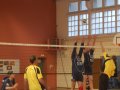 Coupe 2010 AVB/Elliant1