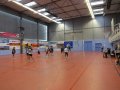 finale coupe VBCQ 2015 2016 493